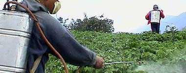 spraying chemicals in a field