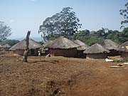 Members of the ETT have been involved in multiple field deployments including one in Malawi for an outbreak of unknown illness. The etiology was ultimately determined to be typhoid fever, but during the investigation the field team discovered a local practice of directly consuming pesticide-treated seeds meant for planting during times of food scarcity. Work on this issue is ongoing.