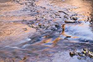 Standing water with contaminants is reflecting purple and red tints.