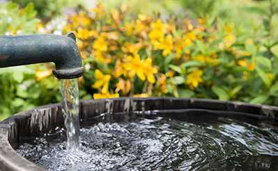 	Water from a private well flows out of a spigot to fill a water barrel