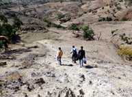 Field workers set off on their long walk to collect data.