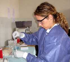 Danielle Buttke processes samples