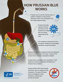 	infographic prussian blue