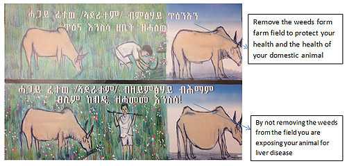 Poster used to educate villagers about livestock. Photo by CDC staff