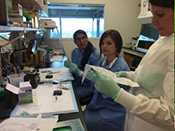 CDC Epidemic Intelligence Service Officer’s Dr. Rupa Narra (CDC; EIS 2014) and Dr. Kathryn Curran (CDC; EIS 2014), and Dr. Michelle Parsons (CDC) learn about cholera rapid diagnostic test kits in Kenya, 2015. 