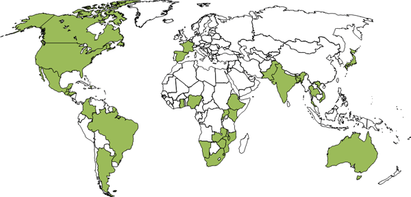 World Map