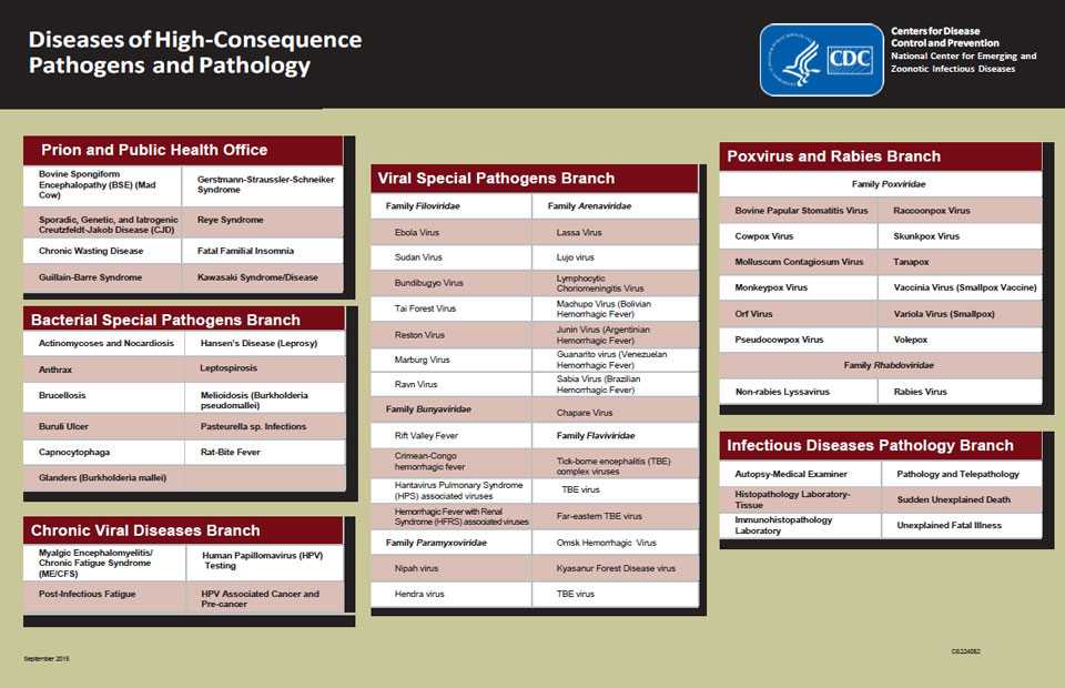 This figure is a box diagram depicting the Division of High-Consequence Pathogens and Pathology's scope of work showing through their various branches and offices, such as: One Health Office, Prions and Public Health Office, Bacterial Special Pathogens Branch, Chronic Viral Disease Branch, Infectious Disease Pathology Branch, Poxvirus and Rabies Branch, and Viral Special Pathogens Branch.