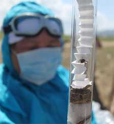 Person wearing protective clothing holding a tick in a container