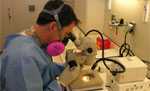 A man viewing a specimen under a microscope