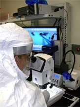 Scientist in a lab looking through a microscope