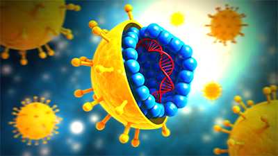 illustration of the Hepatitis C virus