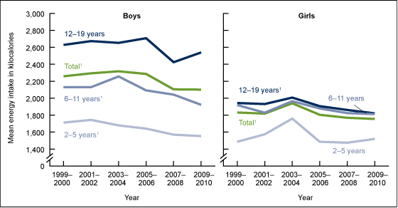 Figure 1 is a line graph showing the mean kilocalorie intake for every 2 years between 1999 through 2010 for children and adolescents aged 2-19, by sex and three age groups.