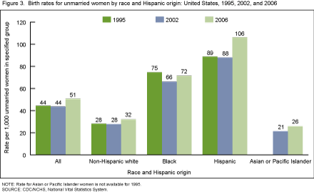 figure 3 is a bar chart showing birth rates for unmarried women by race and ethnicity of the mother for 1995, 2002 and 2006.