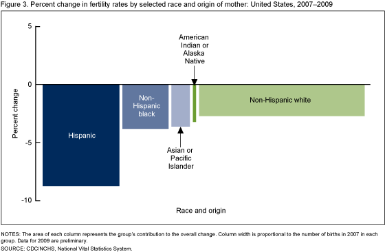 Figure 3 is a bar chart showing the percent change in fertility rates by race and origin of the mother from 2007 to 2009.