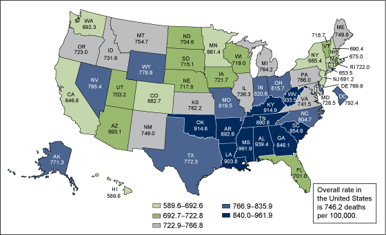 Figure 3 is a map of the United States showing all states and the District of Columbia coded to colors that indicate ranges in the age-adjusted death rate per each state. Figures are based on preliminary data for 2010.