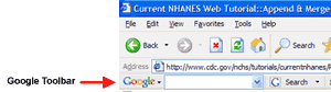 screenshot of Internet Explorer with Google toolbar