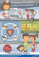 Spanish-Language Pertussis Infographic