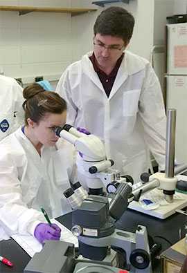 Photo: Anna Llewellyn (RDB LLS Fellow) and Jeff Mercante (RDB Microbiologist) examine environmental sample isolates during the NYC Legionnaires’ disease outbreak investigation