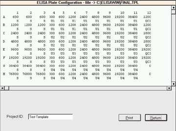 Figure 24. Display of sample template design.