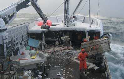 	A typical day crab fishing on the Bering Sea in Alaska. Photo courtesy of Mike Fourtner.