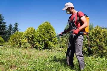 	Male agricultural worker wearing personal protection equipment while spraying a pesticide.