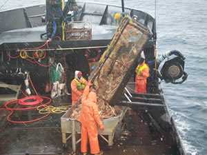 Fishermen working on deck