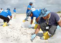 Aaron’s winning photo in the OSHA photo contest