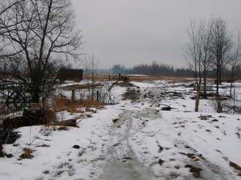 Figure 1. Path leading from barn to pen