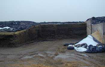 Figure 1. Bunker silo.