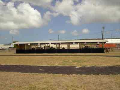 Paddock area