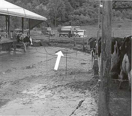 arrow points to manure pile at the mouth of the pit