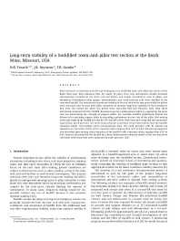 Image of publication Long-Term Stability of a Backfilled Room-and-Pillar Test section at the Buick Mine, Missouri, USA