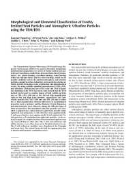 Image of publication Morphological and Elemental Classification of Freshly Emitted Soot Particles and Atmospheric Ultrafine Particles using the TEM/EDS