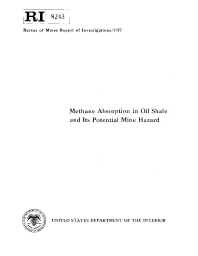 Image of publication Methane Absorption in Oil Shale and Its Potential Mine Hazard