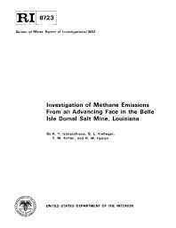 Image of publication Investigation of Methane Emissions From an Advancing Face in the Belle Isle Domal Salt Mine, Louisiana