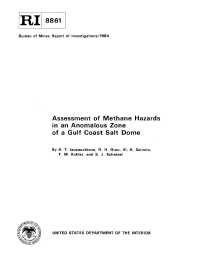 Image of publication Assessment of Methane Hazards in an Anomalous Zone of a Gulf Coast Salt Dome