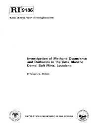 Image of publication Investigation of Methane Occurrence and Outbursts in the Cote Blanche Domal Salt Mine, Louisiana