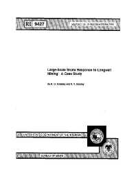 Image of publication Large-Scale Strata Response to Longwall Mining: A Case Study