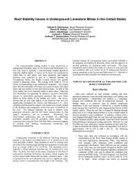 Image of publication Roof Stability Issues in Underground Limestone Mines in the United States