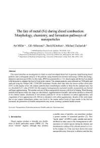 Image of publication The Fate of Metal (Fe) During Diesel Combustion: Morphology, Chemistry, and Formation Pathways of Nanoparticles