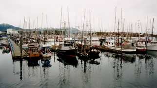 	boats at the dock