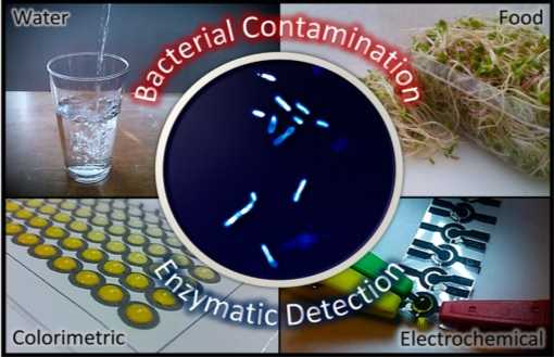 test for bacteria that cause food poisoning