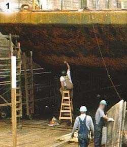 	Worker on ladder