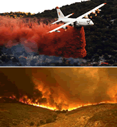 	photo collage - airplane spraying wildland fire and scene of wildland fire