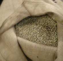 	Green coffee beans in a burlap bag