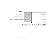 Other Ischemic Heart Disease