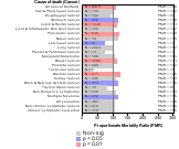 Apparel & Accessory Stores Subsector, Exc Shoe (Ret) 1985-1998 