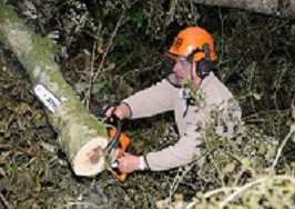 worker wearing hearing protection