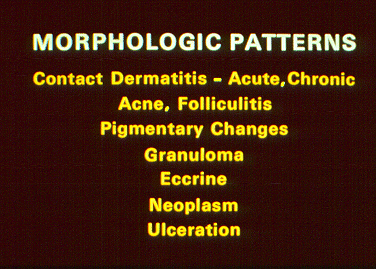 	SLIDE 17 - Morphologic Correlations