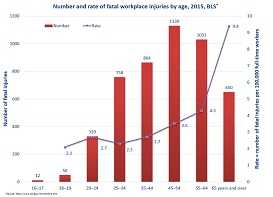 In 2015, nearly 60% of all fatal injuries occurred among workers age 25–54. The highest percent and number of deaths due to workplace injuries (23.4% and 1,130 deaths) were reported for workers age 45–54.The rate of fatal workplace injuries increased with age, from 2.7 for 20–24 year old workers to 9.4among workers 65 years and older.